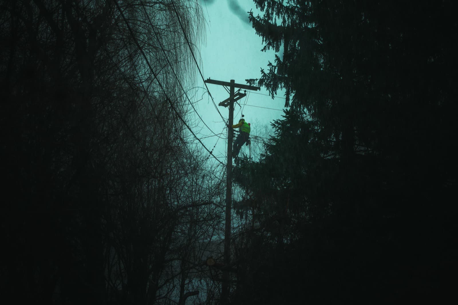 Environmental portrait